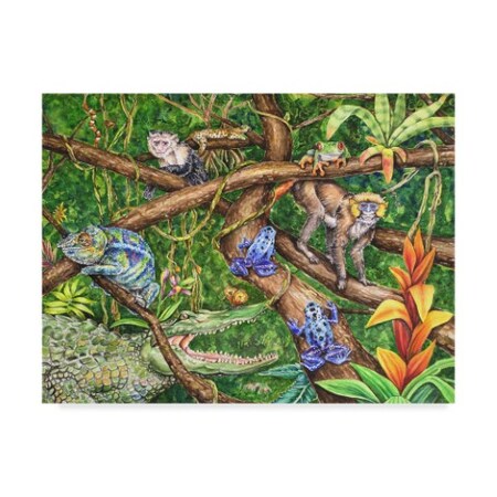 Charlsie Kelly 'La Selva' Canvas Art,35x47